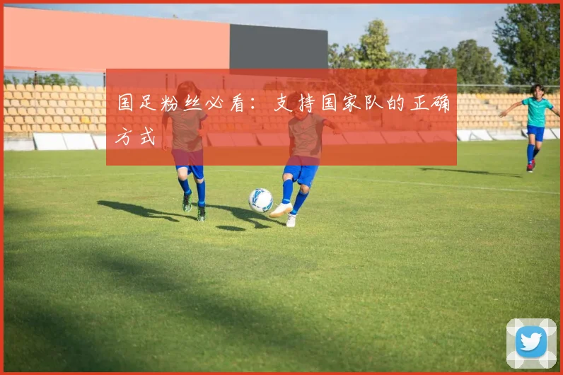 国足粉丝必看：支持国家队的正确方式