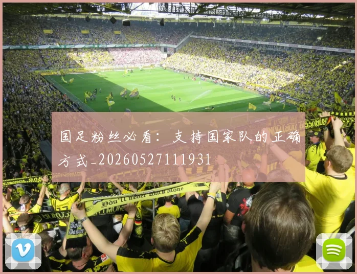 国足粉丝必看：支持国家队的正确方式_20260527111931